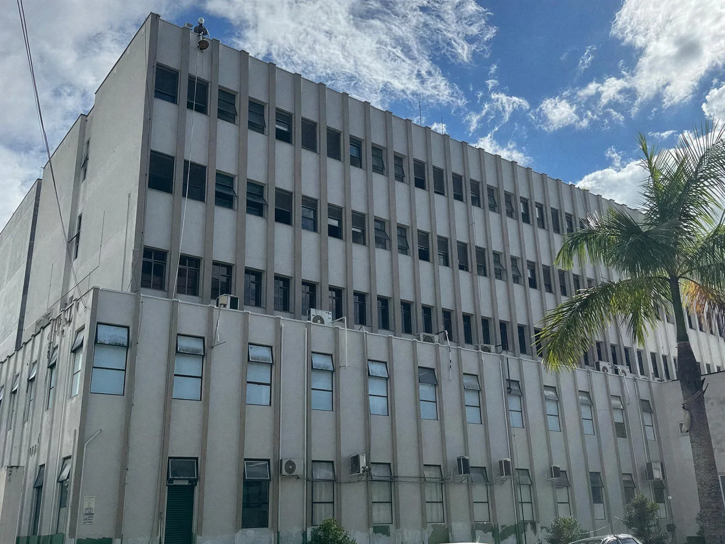 Fachada de um prédio comercial de vários andares com uma palmeira ao lado